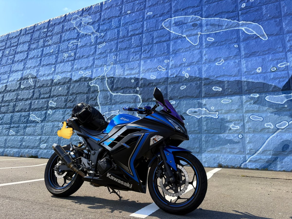𝙏𝙤𝙩𝙖𝙡 𝙈𝙤𝙩𝙤𝙧𝙘𝙮𝙘𝙡𝙚™ 🏍 ᵉˢᵗ ¹⁹⁹⁹ tweet media