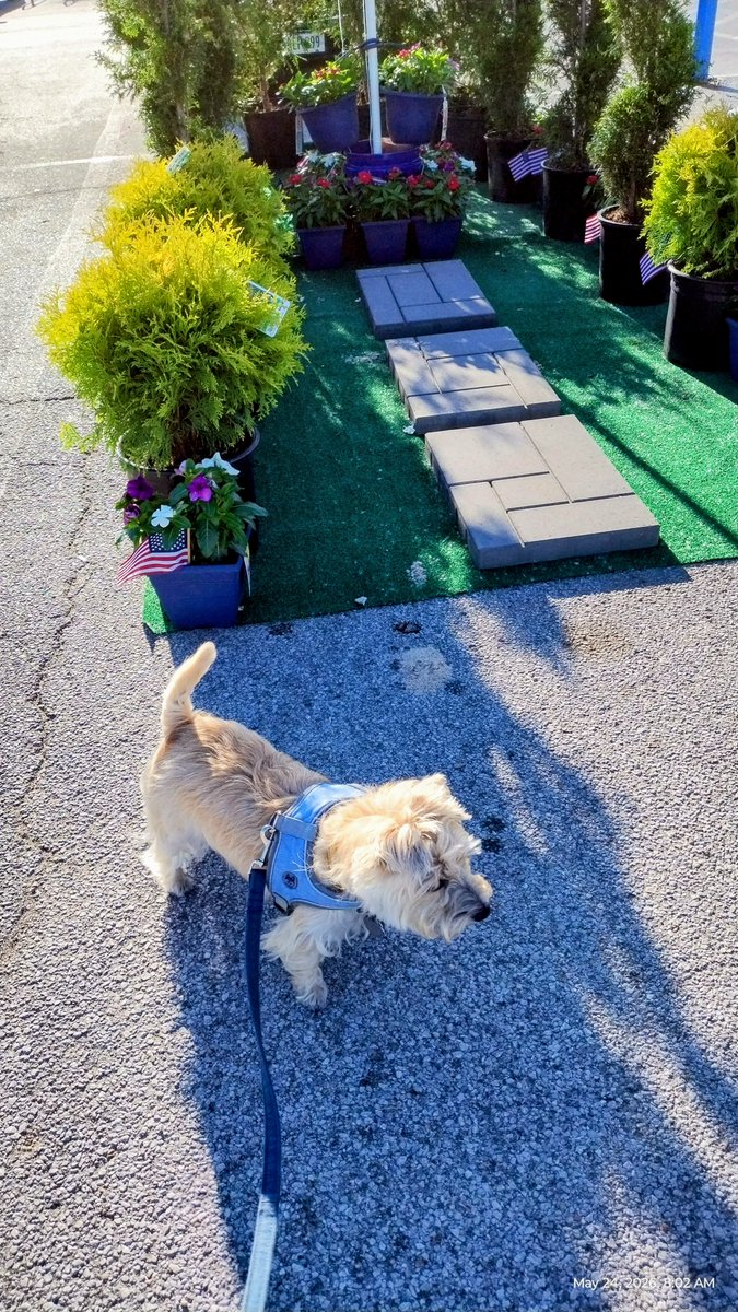 Kami Cairn and WoodenShoe Reggie (OTR Angel 2023) tweet media