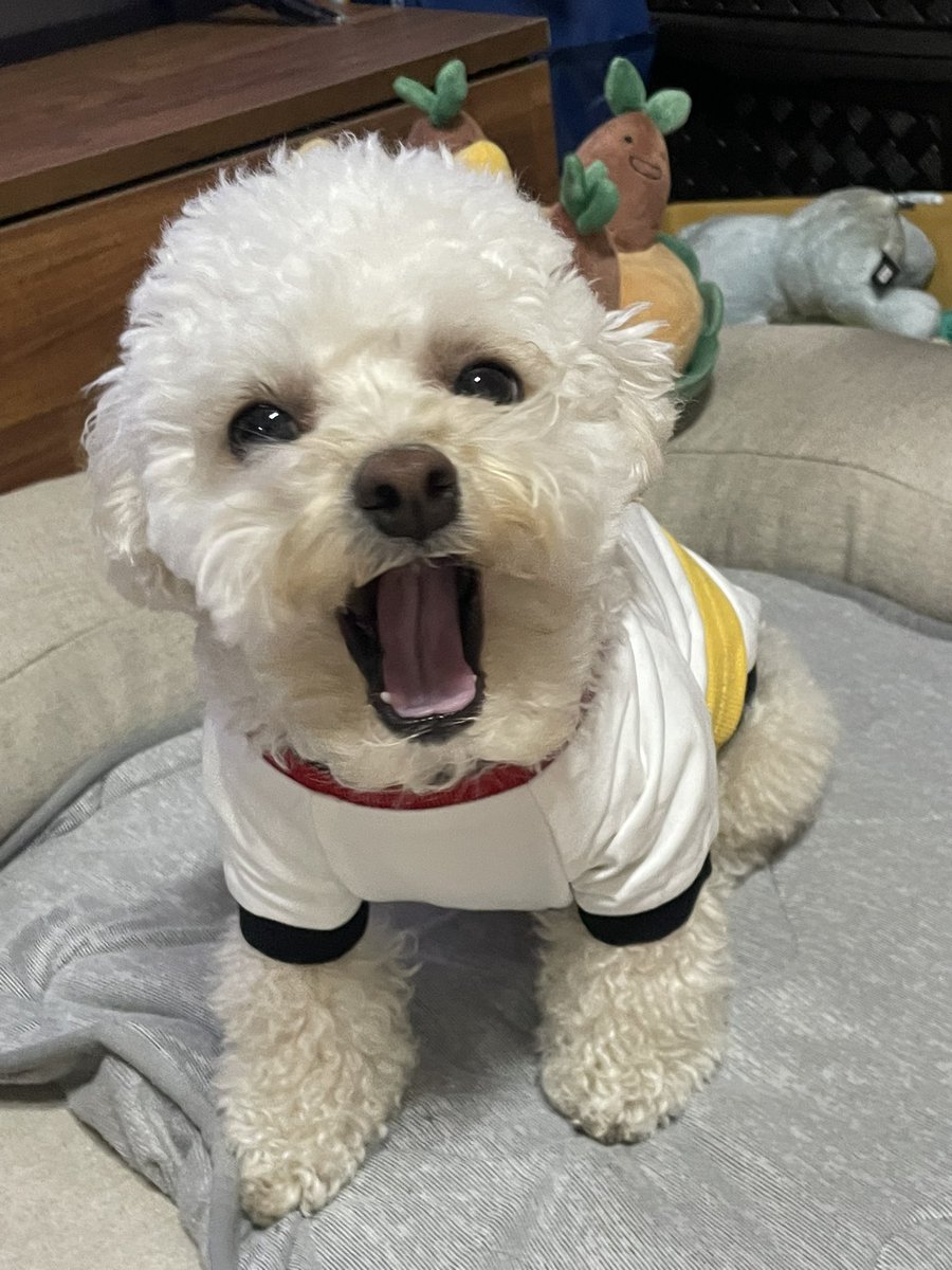 최밥풀 tweet media