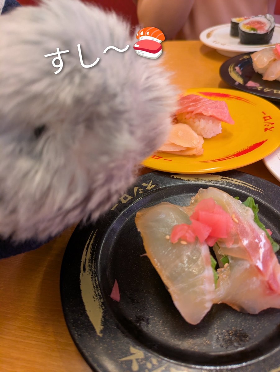 ぽんメイ tweet media