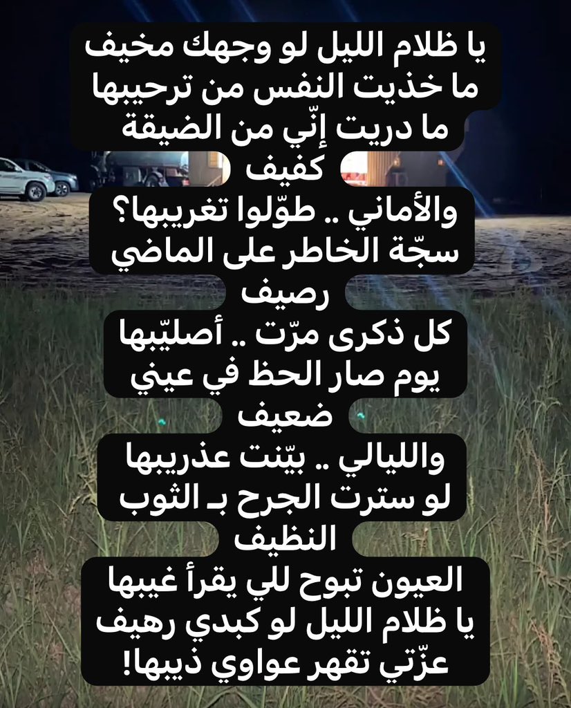 مياح بادي •| Ⓜ️ayah tweet media