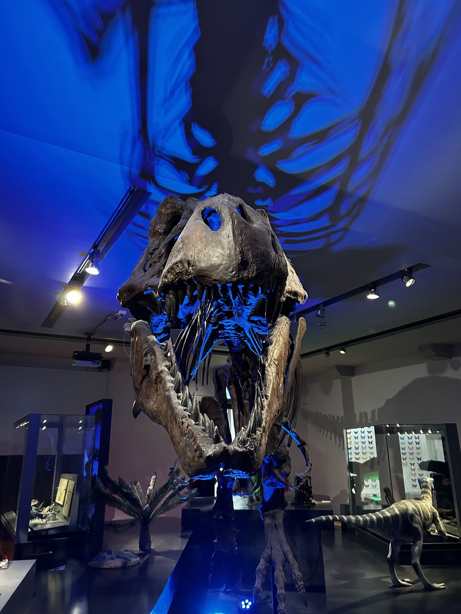 eeyoop's tweet photo. dinosaur https://t.co/IHgxHWYb5W