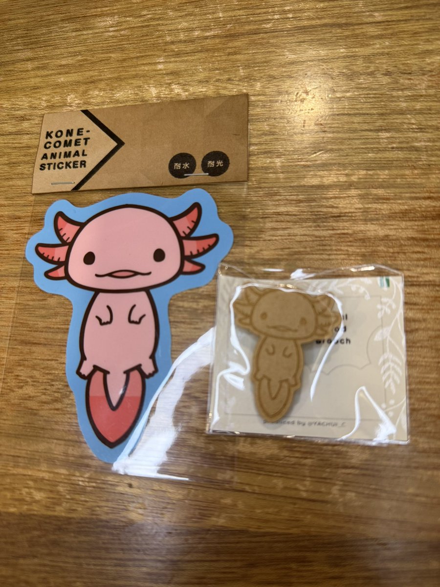 gunashi_onigiri's tweet photo. こちらは、こねこめっと(@Yachui_C )さんのウパステッカー&amp;木製ピンバッジ！

耐水耐光ステッカーを手にしてたら「ウーパールーパーですか？」と尋ねていただいて(服装でバレバレ)、裏からピンバッジを探してくださいました。

にこやかな表情が可愛い！꒰( ˙𐃷˙ )꒱💖 https://t.co/pjK2KEvFoy