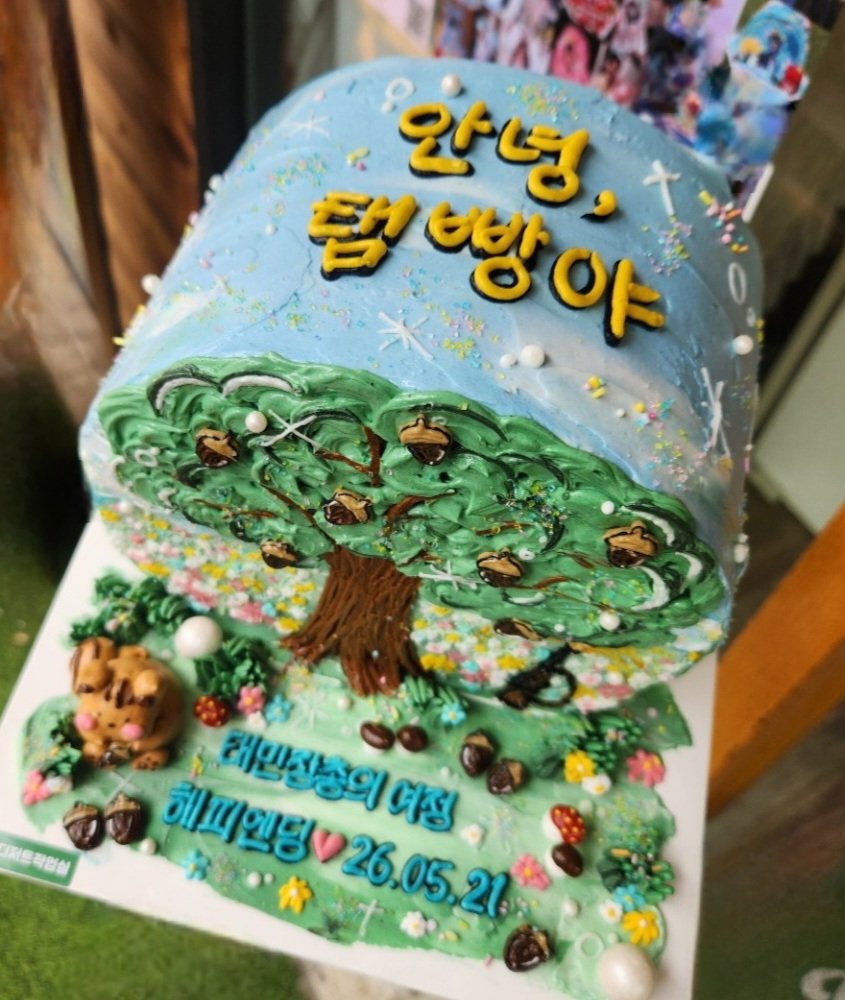 앨리스의 새집 tweet media