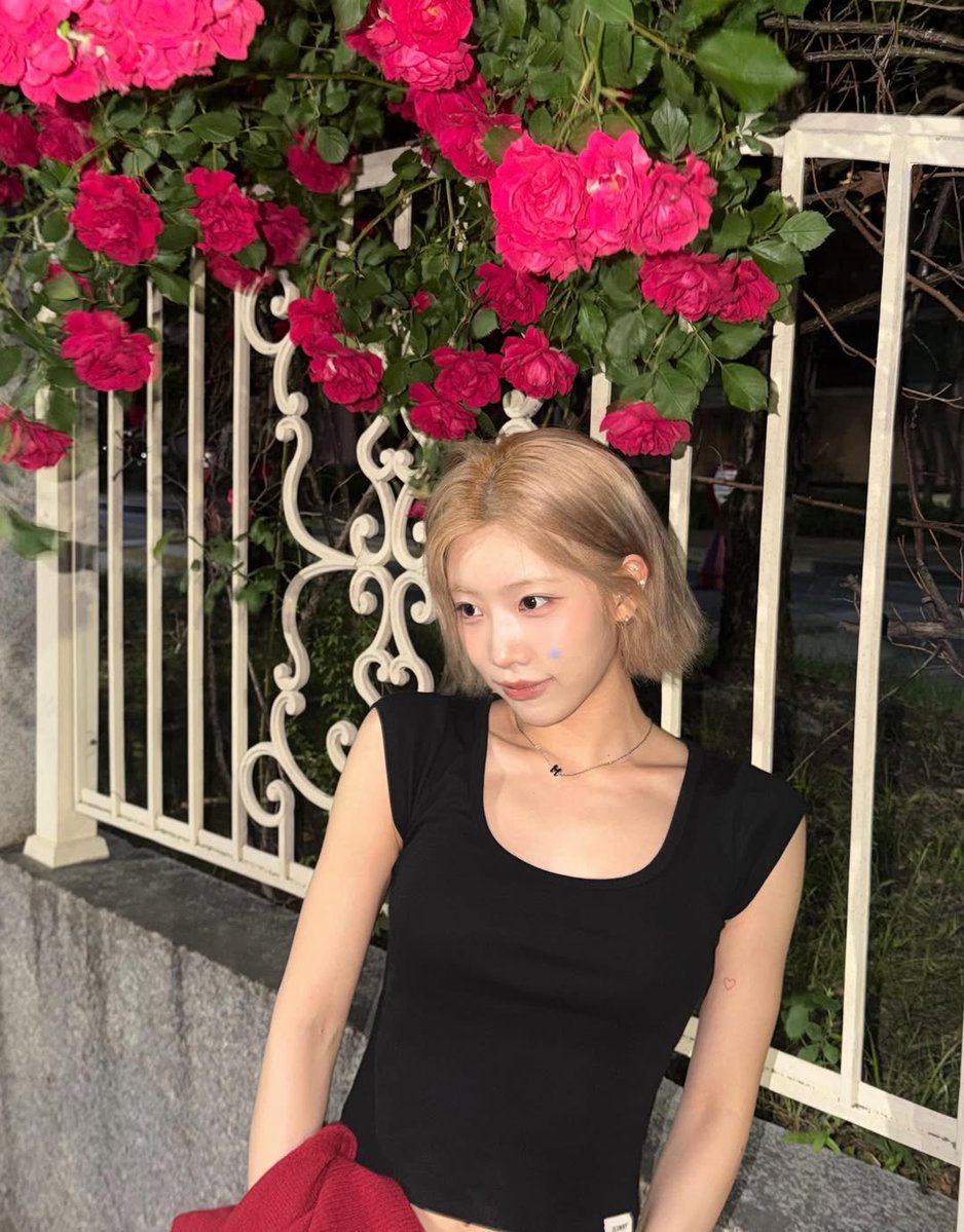 Kim Lip Post tweet media