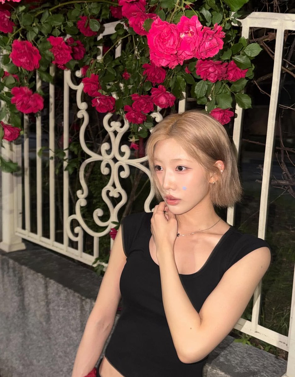 Kim Lip Post tweet media