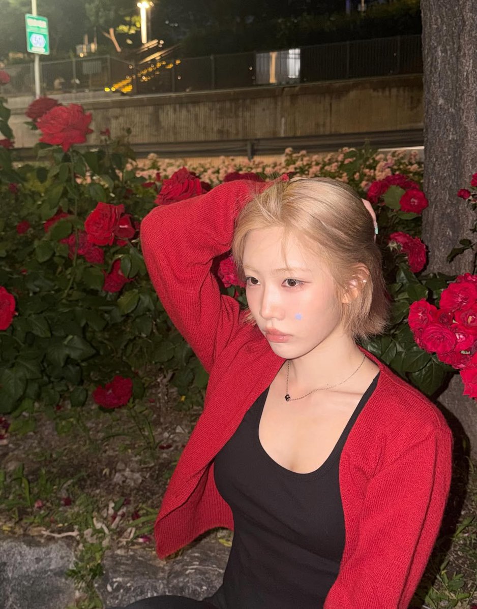 Kim Lip Post tweet media