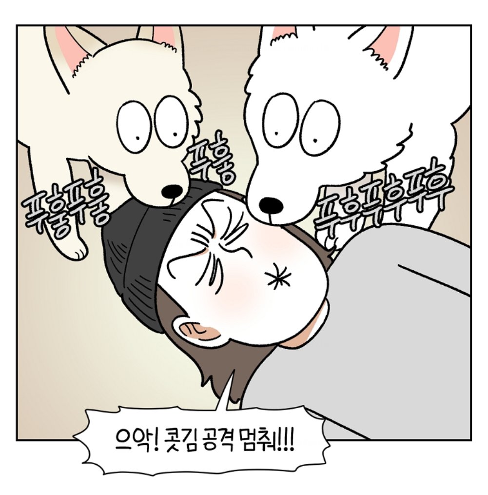 마일로 tweet media