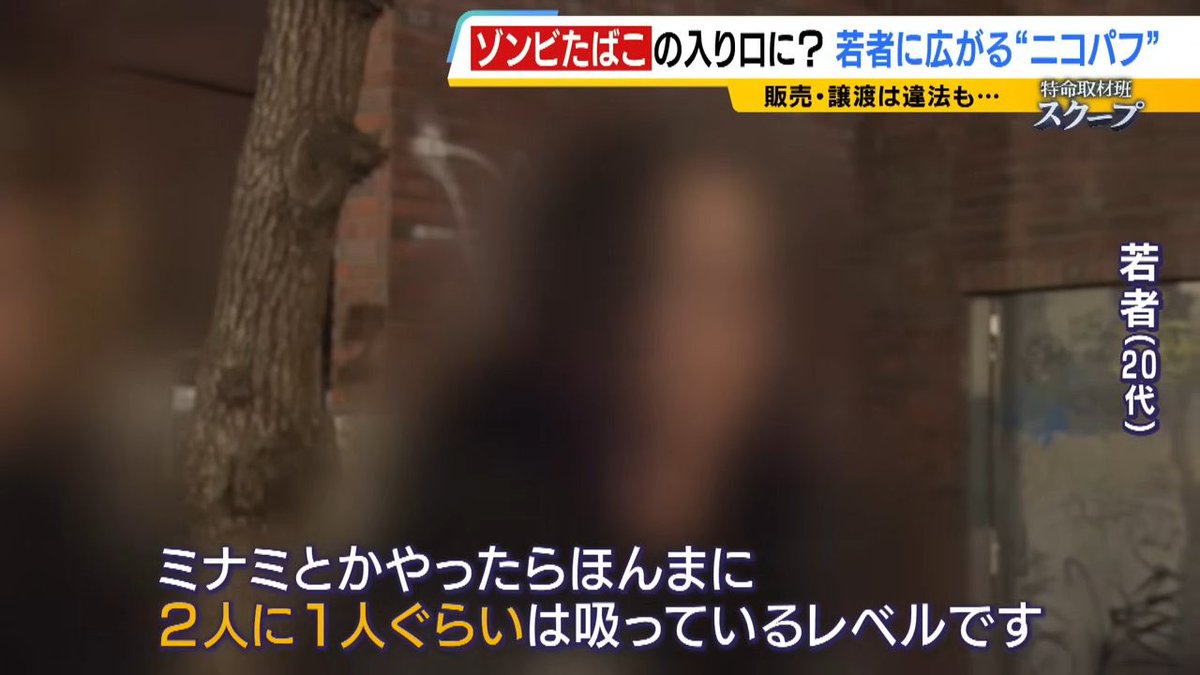 ShinjukuSokai's tweet photo. ニコパフが蔓延しているとテレビで特集されていたが、これは個人輸入で買わないと駄目。
合法おすすめサイト三選を紹介。

MyMoods（ポッド交換式コスパ◯）
https://t.co/zGMCobzdk3
NICOBAY（複数ブランドあり）
https://t.co/NTNoAZelNO
Vapemafia （人気のドバイ物あり）
https://t.co/0BQHYSA7U5 https://t.co/knt2bwuvAi