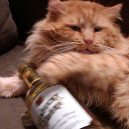 tastedotfun's tweet photo. How bro felt after saying that 🥃 https://t.co/dY2Q4BEqfP