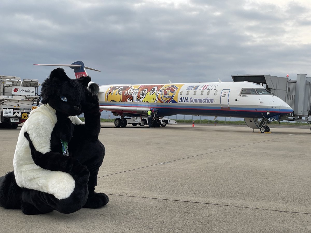 bagi_kemo's tweet photo. 行くまでのハードルが高かったけど、飛行機のそばまで行って撮影できて、とても貴重な体験だった！別動できてたナツキさんと偶然遭遇したり、他のレイヤーさんや地元の人と交流できてとても楽しかった！主���の皆様さんありがとうございました！(一デジ写真はまだ貰ってないので後日) #ADV福島空港 https://t.co/ZRXMEQ6JPo