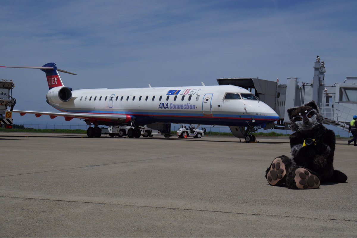 bagi_kemo's tweet photo. 行くまでのハードルが高かったけど、飛行機のそばまで行って撮影できて、とても貴重な体験だった！別動できてたナツキさんと偶然遭遇したり、他のレイヤーさんや地元の人と交流できてとても楽しかった！主���の皆様さんありがとうございました！(一デジ写真はまだ貰ってないので後日) #ADV福島空港 https://t.co/ZRXMEQ6JPo