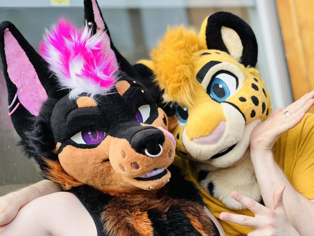 SoraTheBun's tweet photo. Creatures of CFz https://t.co/qwXloZEzYT
