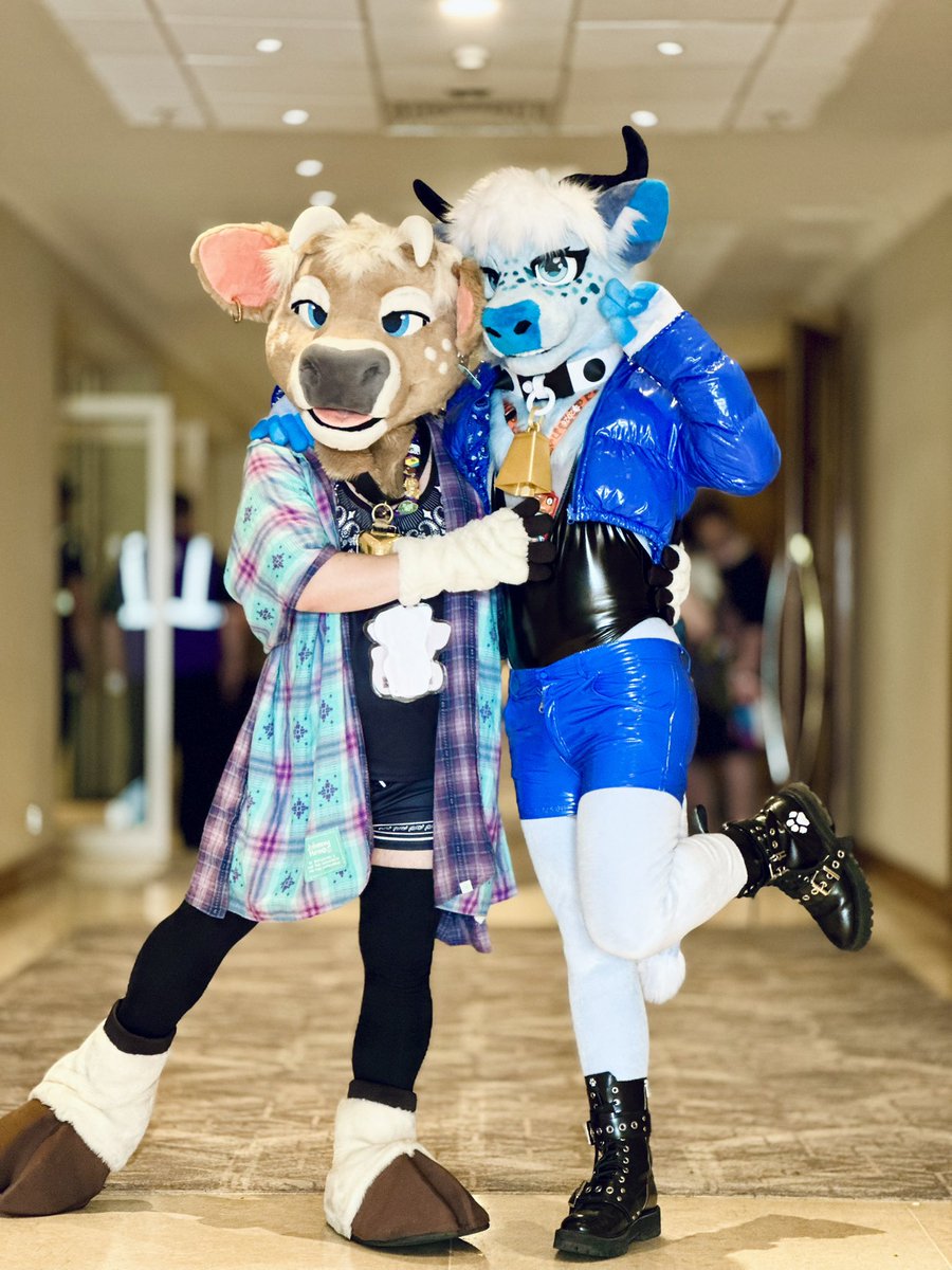SoraTheBun's tweet photo. Creatures of CFz https://t.co/qwXloZEzYT