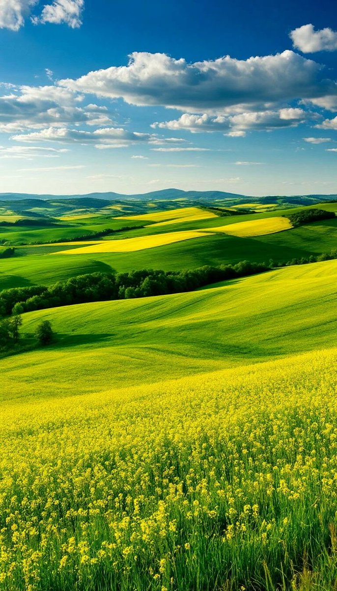 Nolan8981256421's tweet photo. Good morning!☀️ It’s the start of a new week. hope everything goes smoothly for you and that you have a wonderful day.🌻🌿🌾✨ https://t.co/w7LXemHWA7