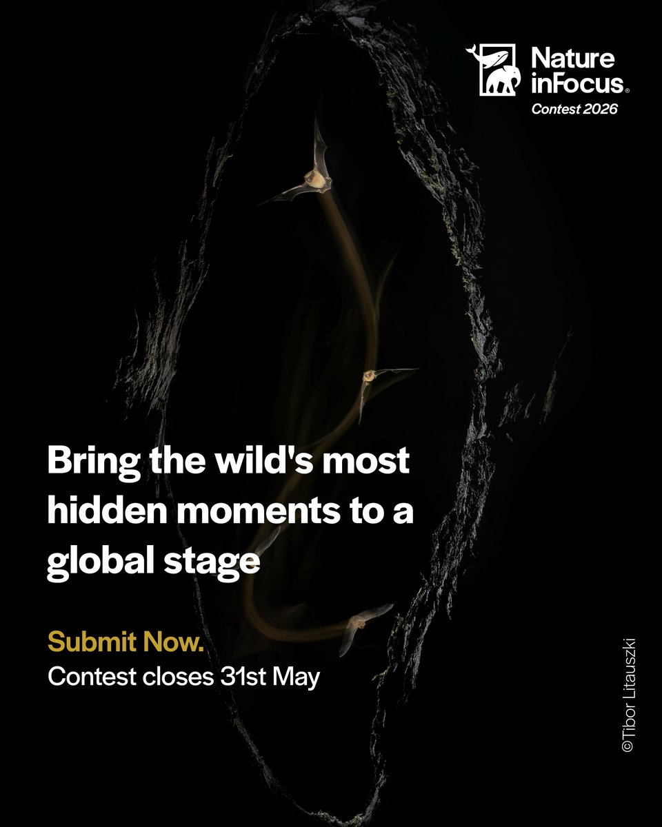 NatureIn_Focus's tweet photo. Some moments exist where no light reaches. 
Your lens found them. Now let the world see them. 
#NiFContest2026

Contest closes 31st May. 
Submit now: https://t.co/6Kr1I8JTGZ https://t.co/8alqHZpuNj