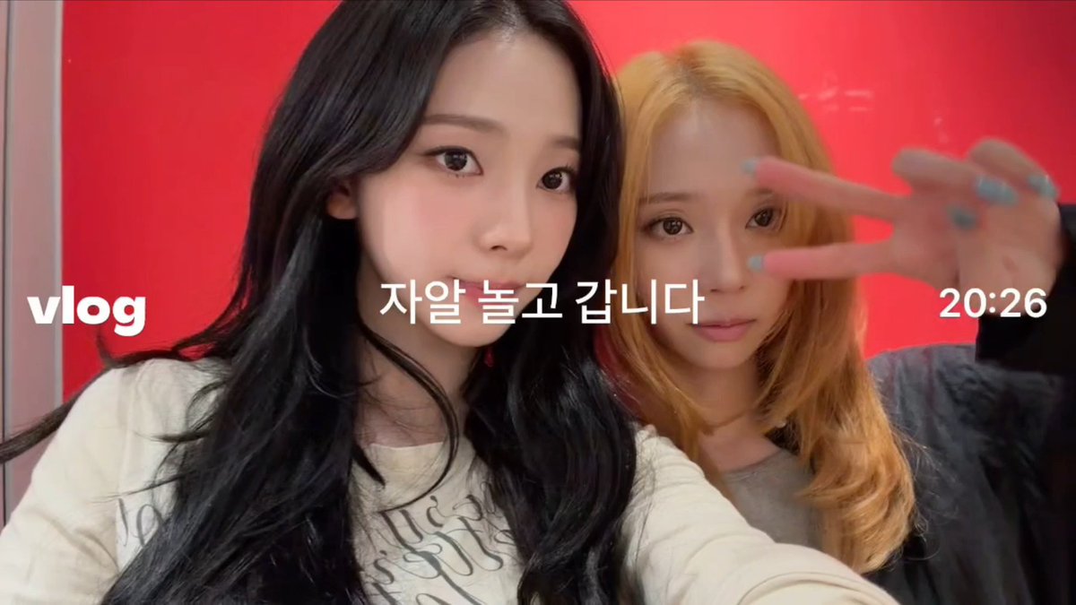 팔냥 tweet media