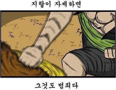 강쌤 tweet media
