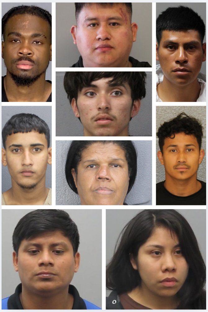 Illegal Alien Crimes tweet media