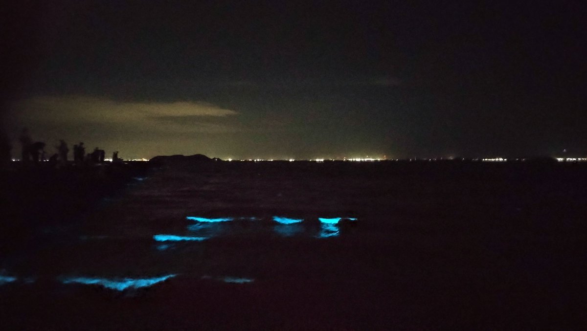 TorinosuTaiyo's tweet photo. 蒲郡の海で夜光虫見てきたよ
波がこんな光るんだね
あと見物人の数ヤバかった https://t.co/7bp0XUyiud