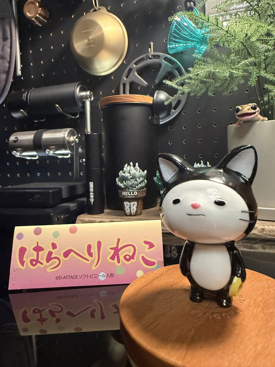 yoichi/D-ATTACK スーパーソフビサミット (@1_yoichi) / Posts / X