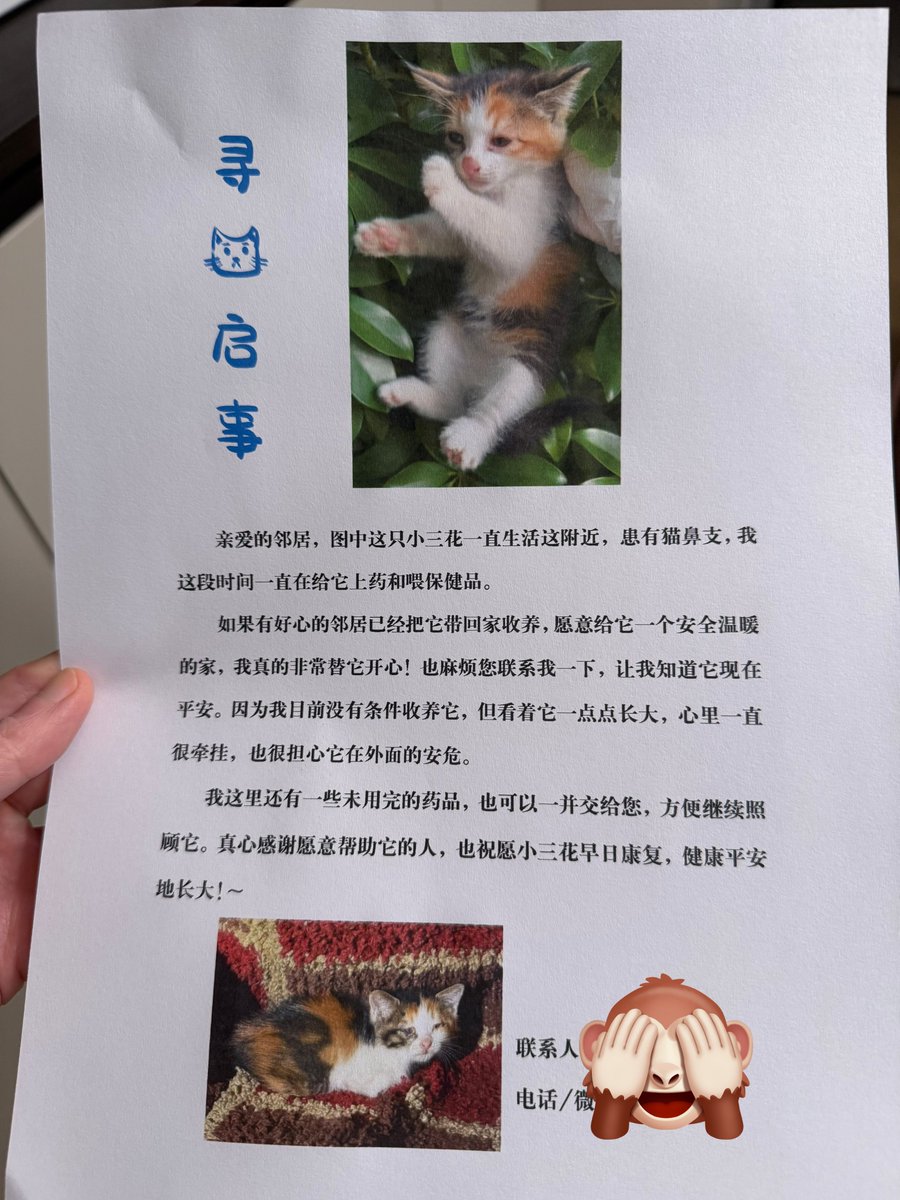 Boooo波妞! tweet media