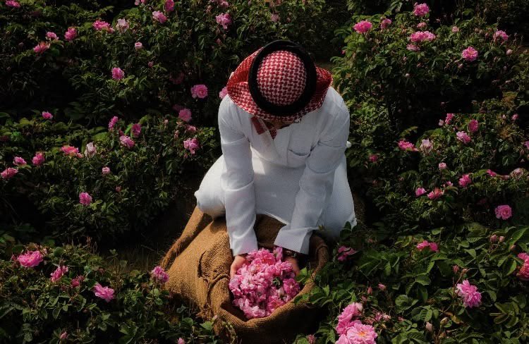 مُحمد|1426هـَ tweet media