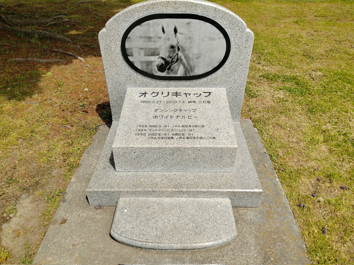 Kanbotsu_'s tweet photo. https://t.co/qUK4xNwDw5