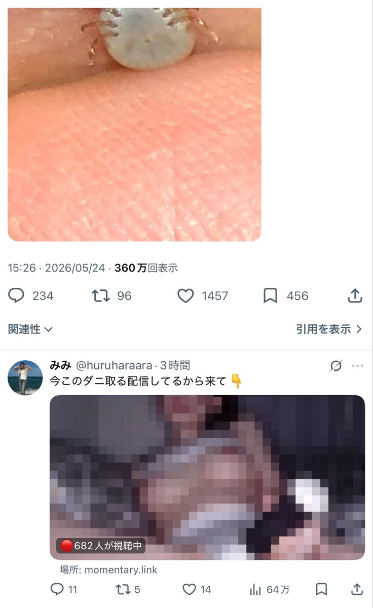 basic_NFlion's tweet photo. どんな配信やねん https://t.co/OxN9nz5z6M