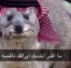 B7Update's tweet photo. @yakutthinks ٤ تسريبات؟؟ https://t.co/9ARFFXQqw3