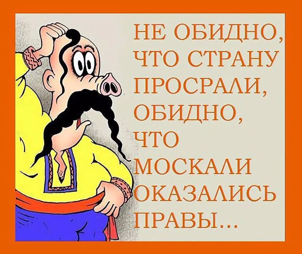 Андрей из Тучи tweet media