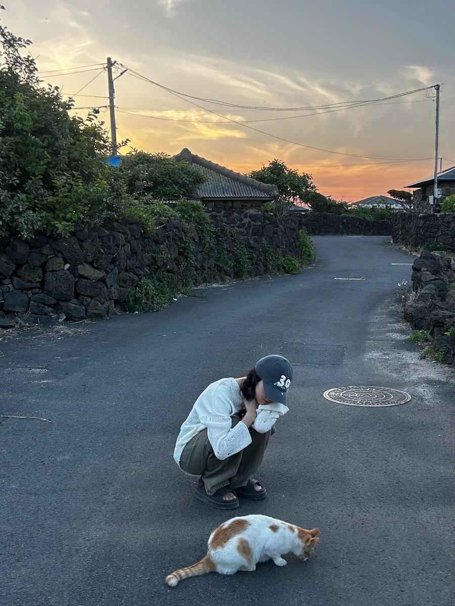 츄이밍z tweet media
