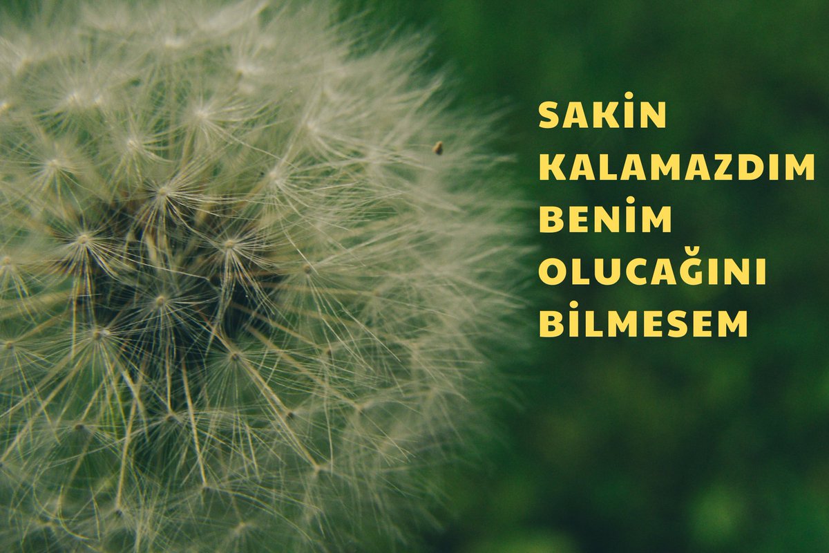emre tweet media