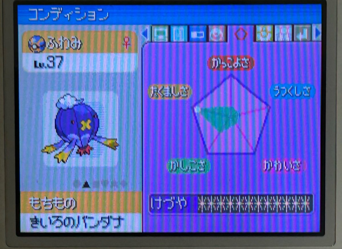 キサラ tweet media