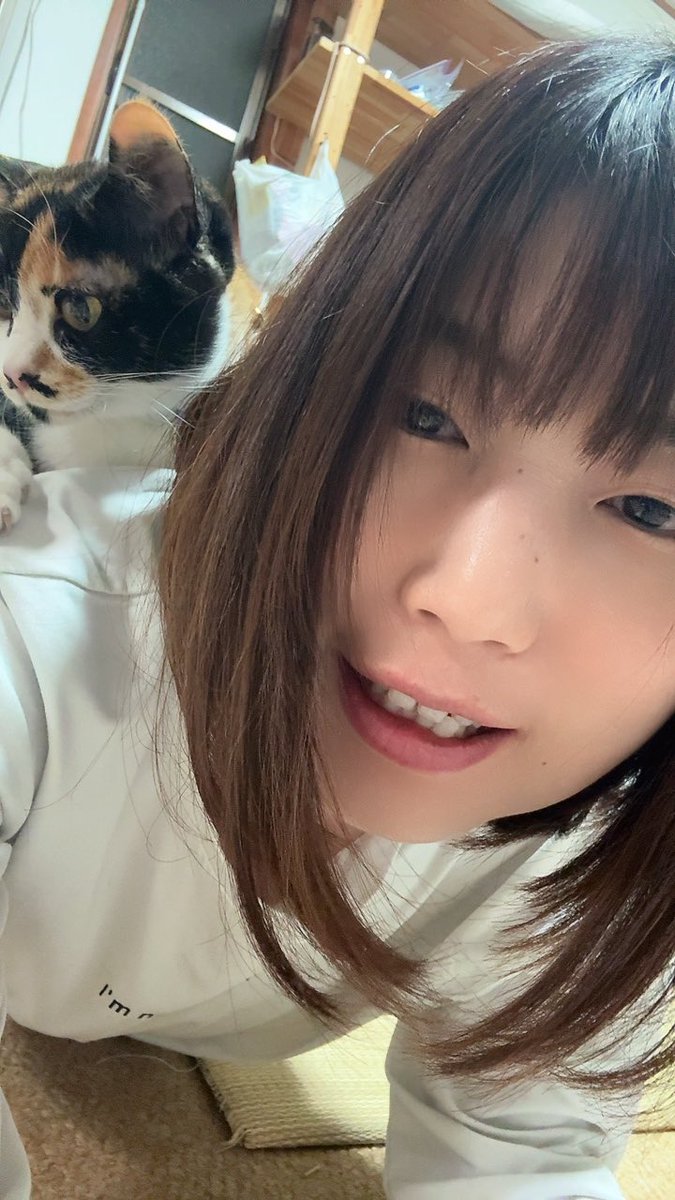 芽衣子 tweet media