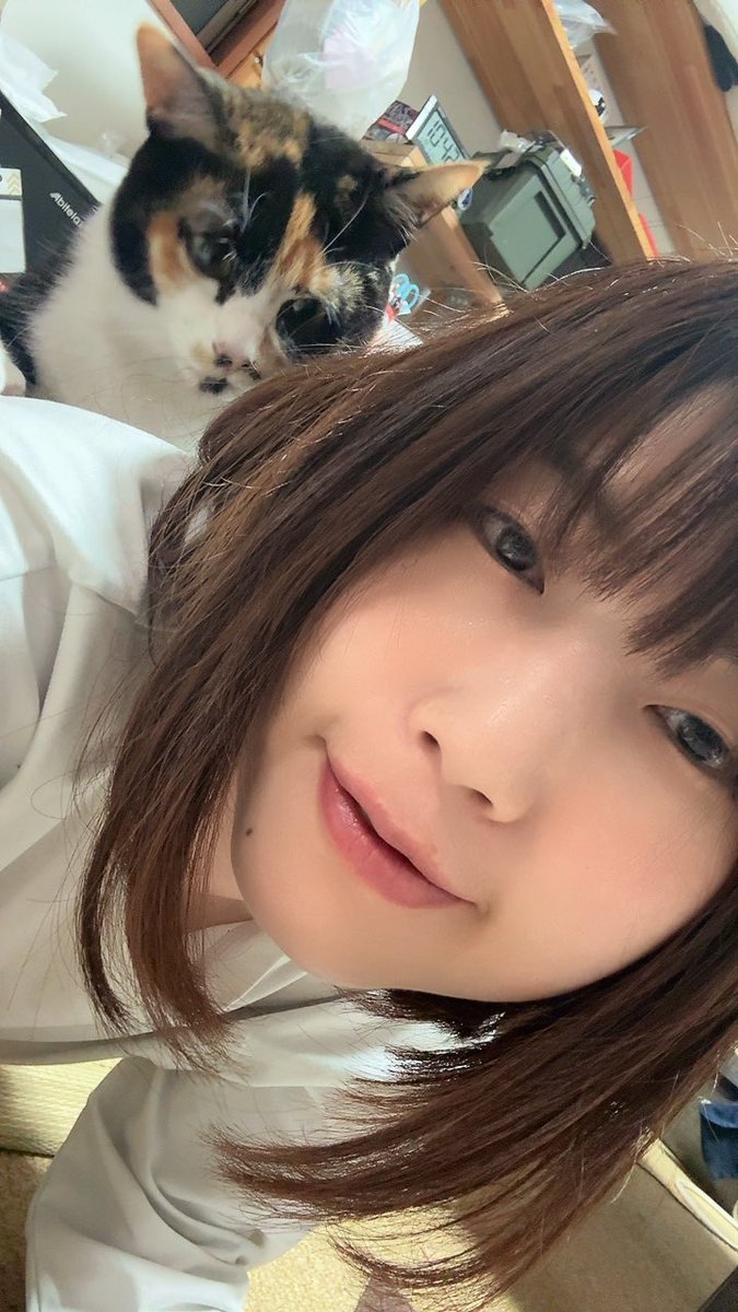 芽衣子 tweet media