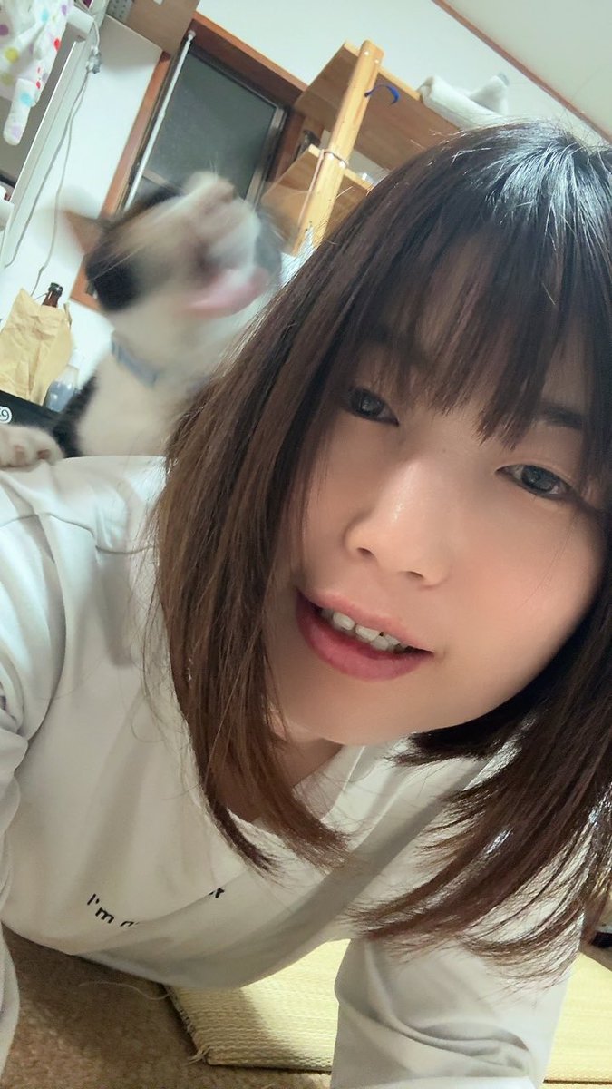 芽衣子 tweet media