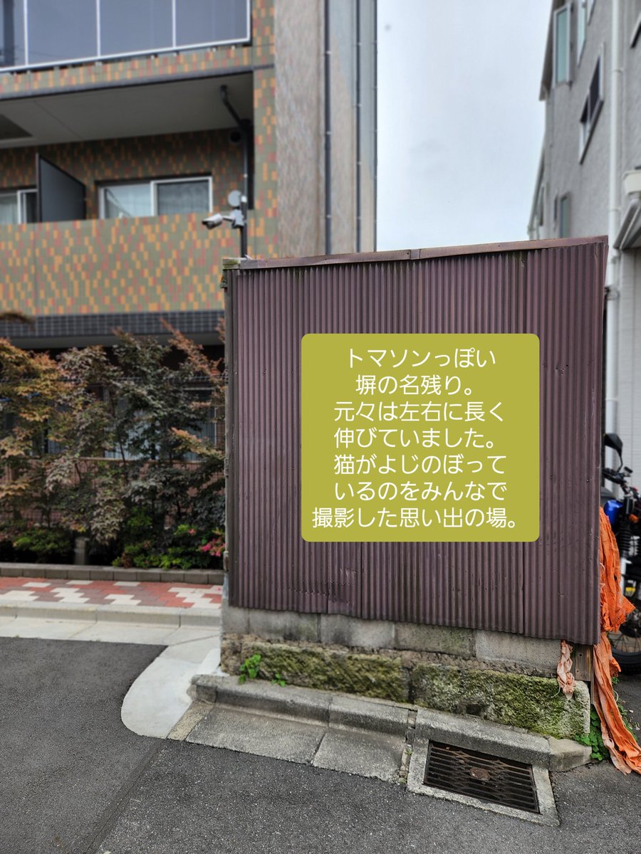 sesamespace_m's tweet photo. 昔住んでいたエリアにひさしぶりに足を運ぶ。
想定はしていたものの、だいぶ変わってしまったまちの姿。
まのあたりにすれば複雑な思いが。
ノスタルジーと希望。
薄れゆく記憶とあいまって蜃気楼のなかを歩いていくよう。
―WANDERING TOKYO　京島・向島
#散歩 #旅 https://t.co/WJCjIlpxK6
