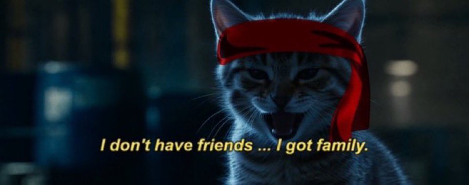 Red Kitten Crew tweet media