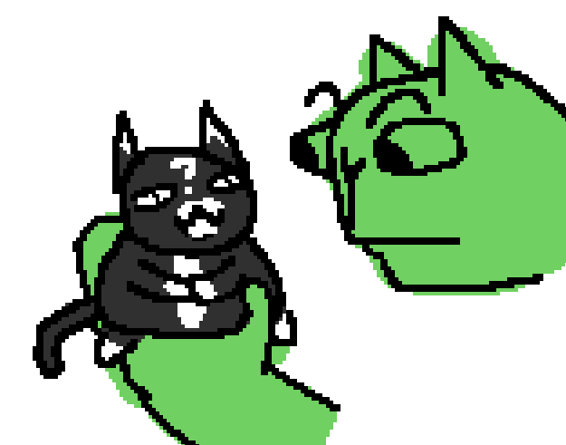 misterpepuk's tweet photo. quite fond of this Gambit...
cute squishy cat. https://t.co/NJ0D5psq31