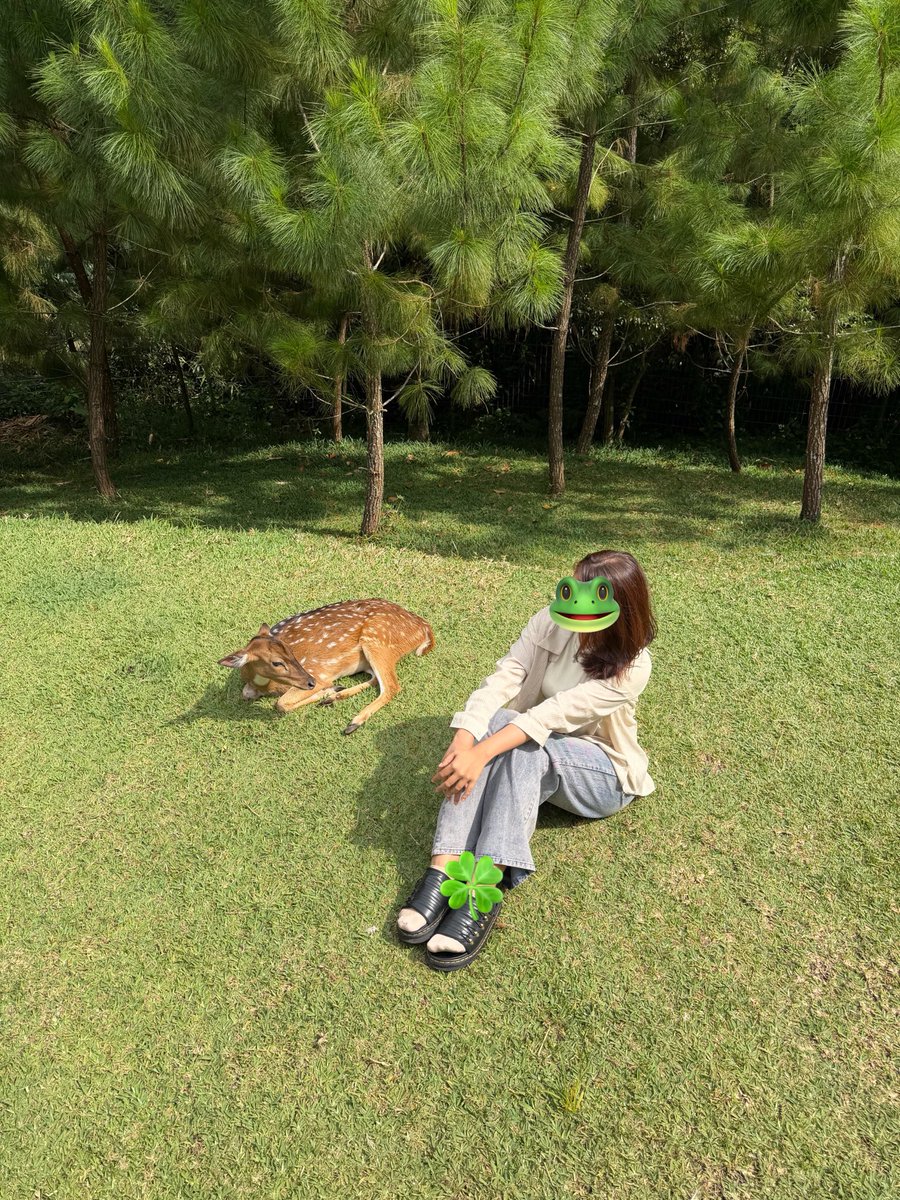 ⋆⭒˚.⋆zü𓆏🍀 tweet media