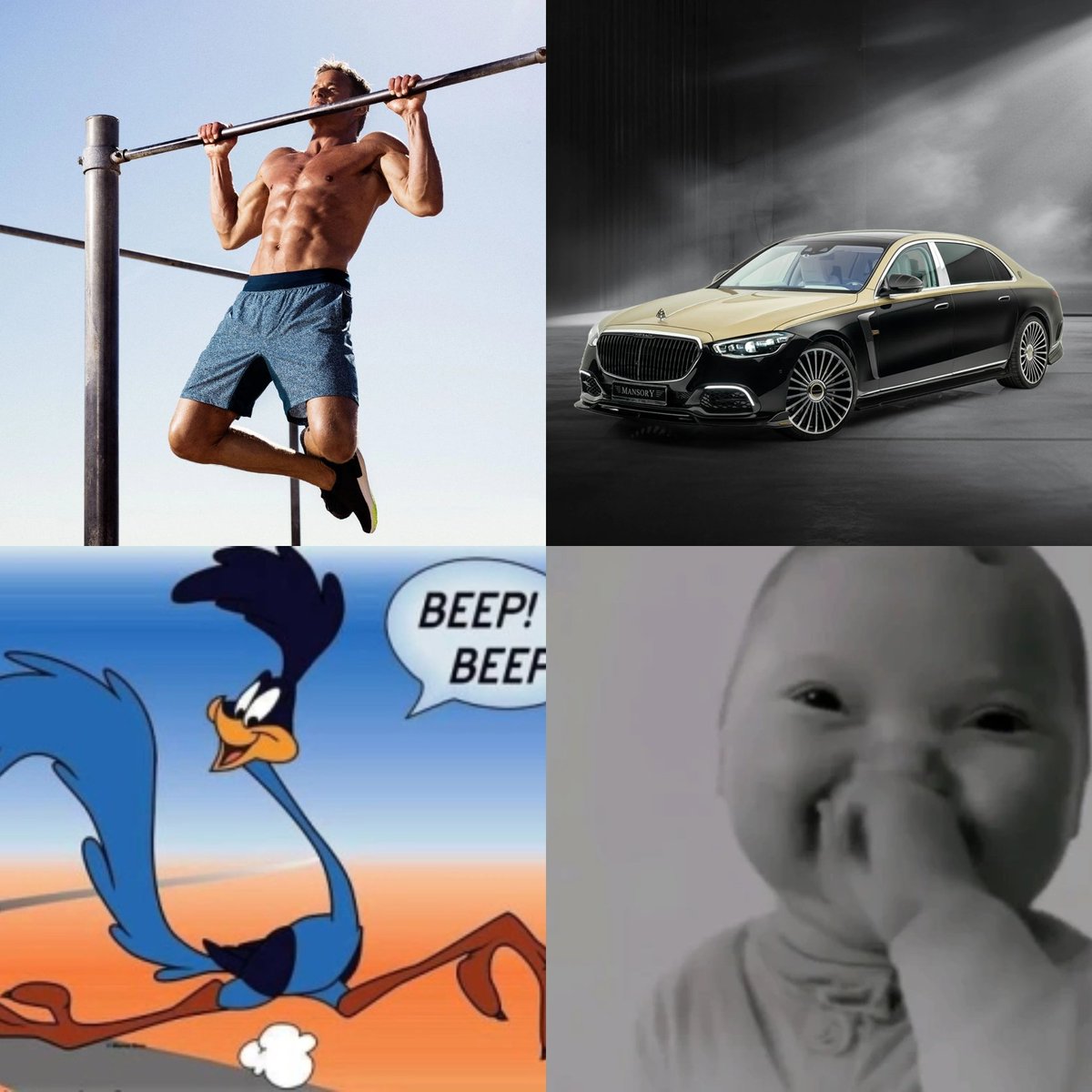 Bird tweet media