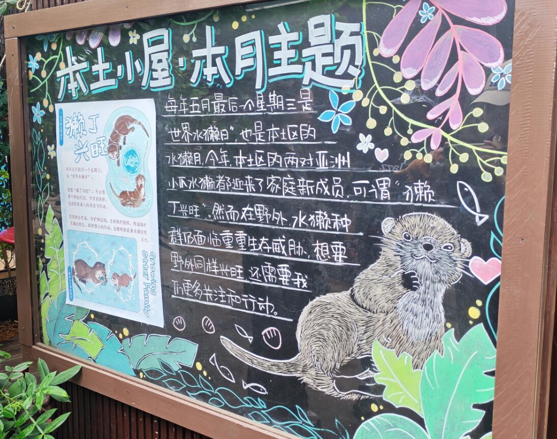 迷糊C_301 tweet media