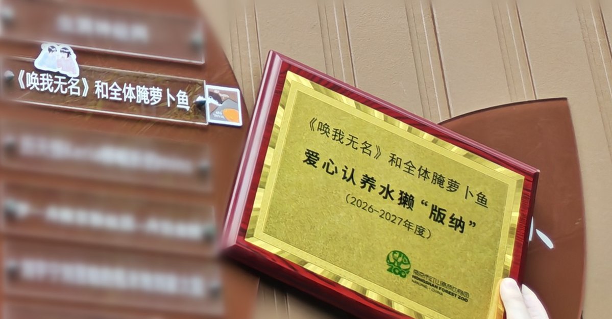 迷糊C_301 tweet media