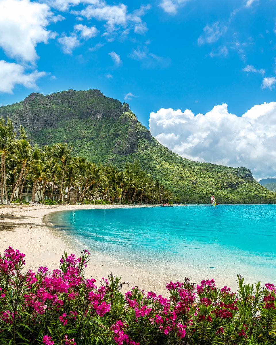 A Solo Traveler tweet media