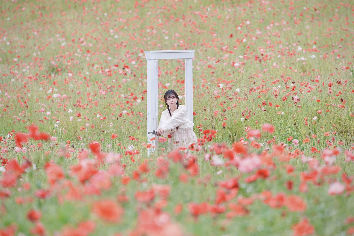 rowind89's tweet photo. 5/24 #国営昭和記念公園
ポピー大半散りました
#ポピー #被写体 #モデル #ポートレート #ポトレ #被写体募集 #モデル募集 #相互無償 #モデルさんと繋がりたい #model #portrait https://t.co/eJmNRwWY2s