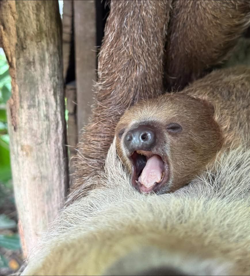 Khamoo.andthegang tweet media