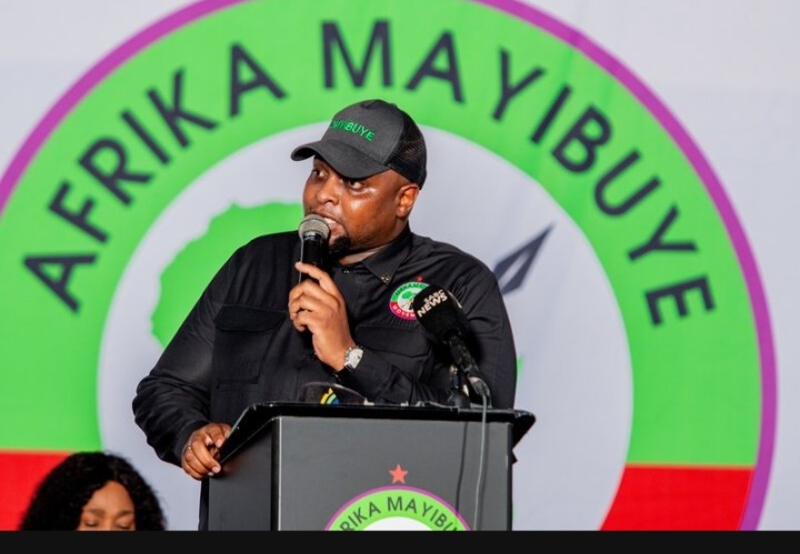 Mthuli tweet media