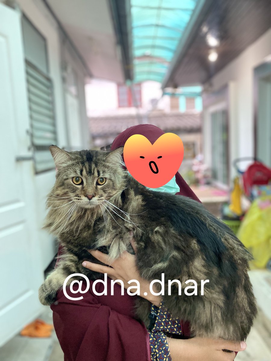 อาดาพี่สาวอาเนียร์ที่ชอบกินถั่วเหมือนกัน tweet media