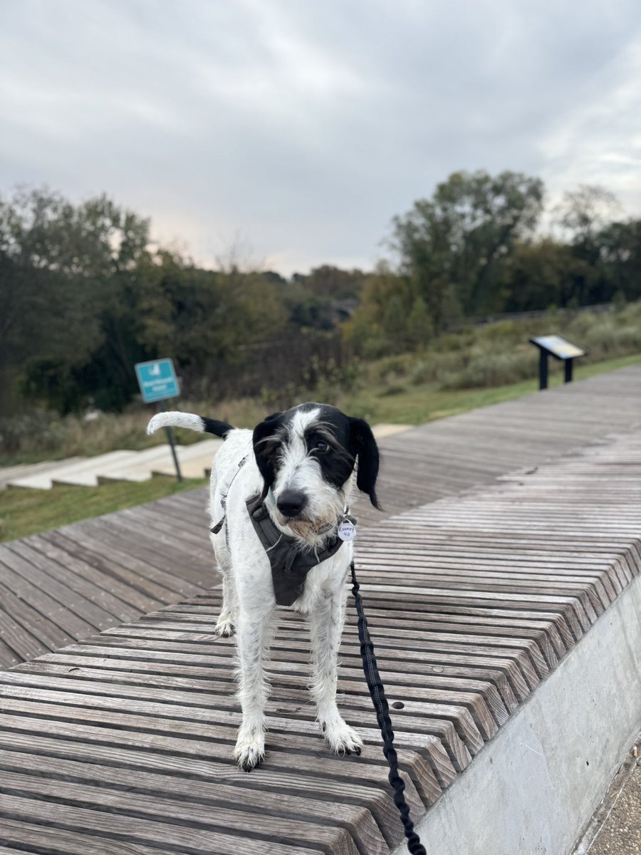 Baxter “BMac” McGovern tweet media